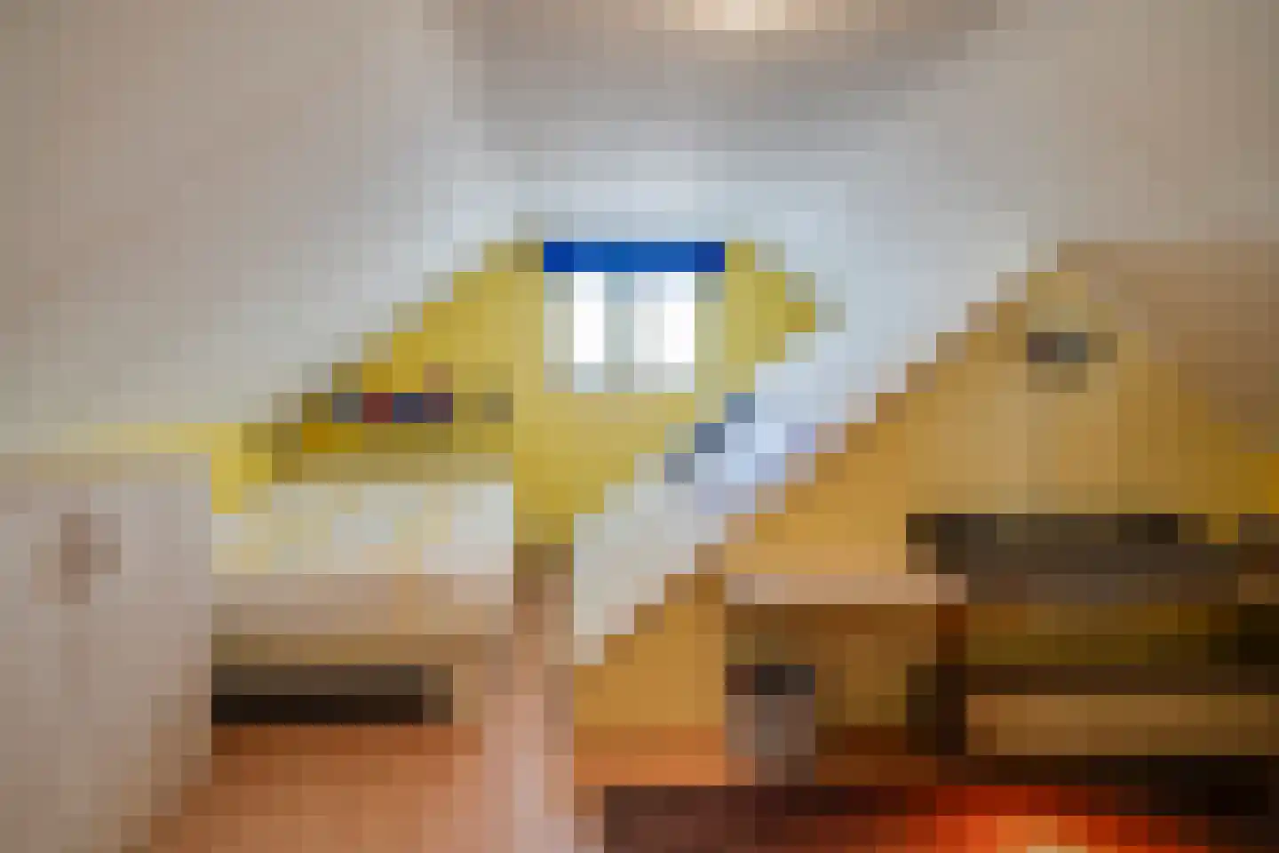 Dissel 113 Maarheeze thumbnail 46
