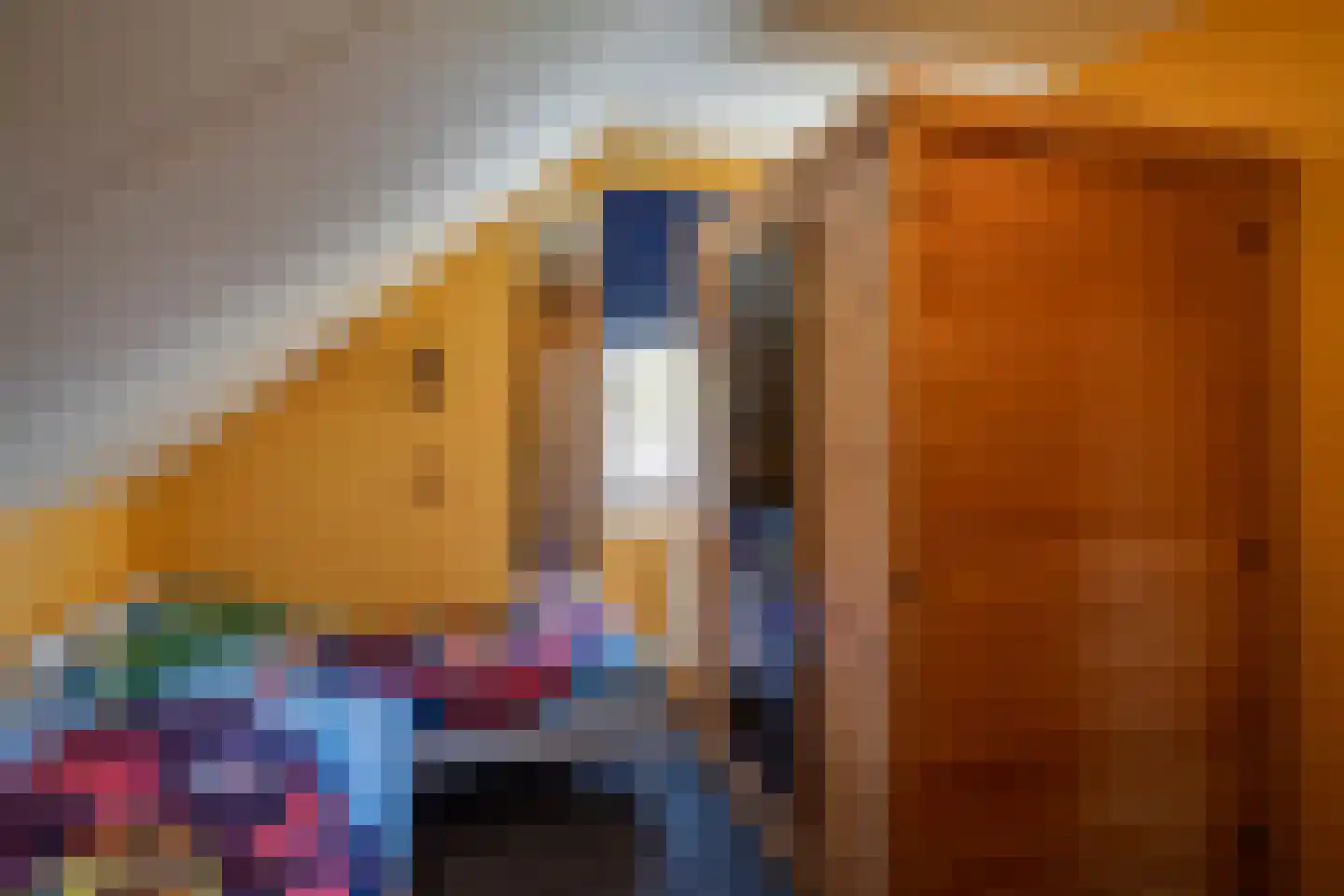 Dissel 113 Maarheeze thumbnail 59
