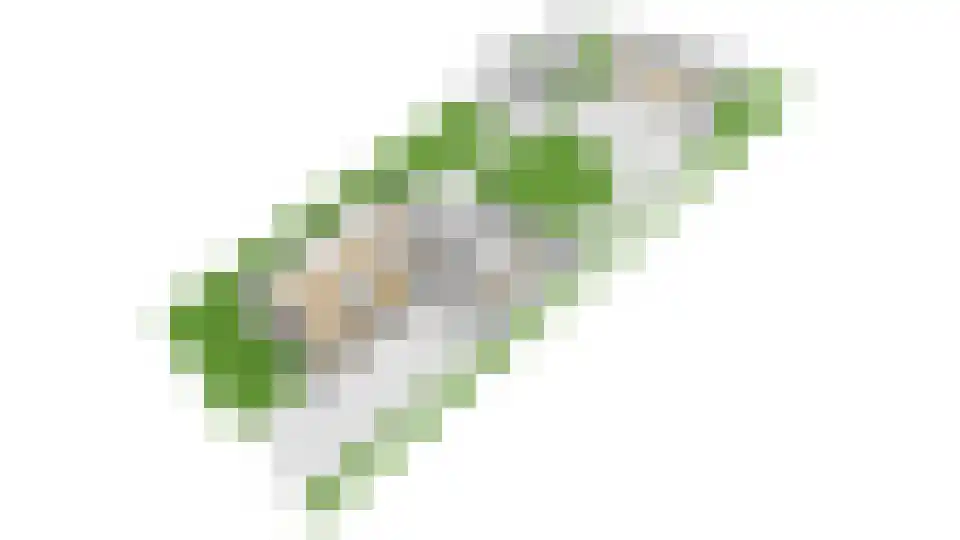 Dissel 113 Maarheeze thumbnail 71