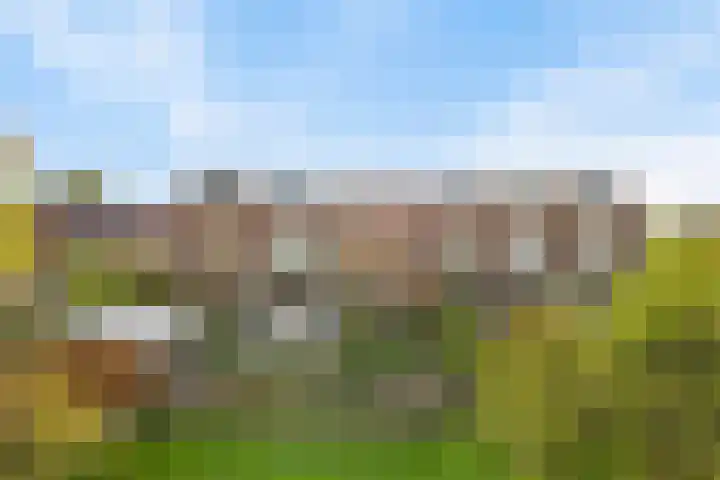 Dissel 126 IJsselstein thumbnail 33