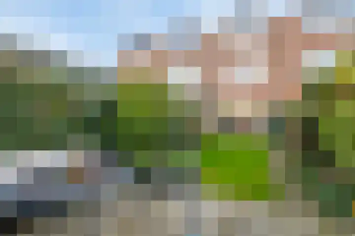 Dissel 126 IJsselstein thumbnail 4