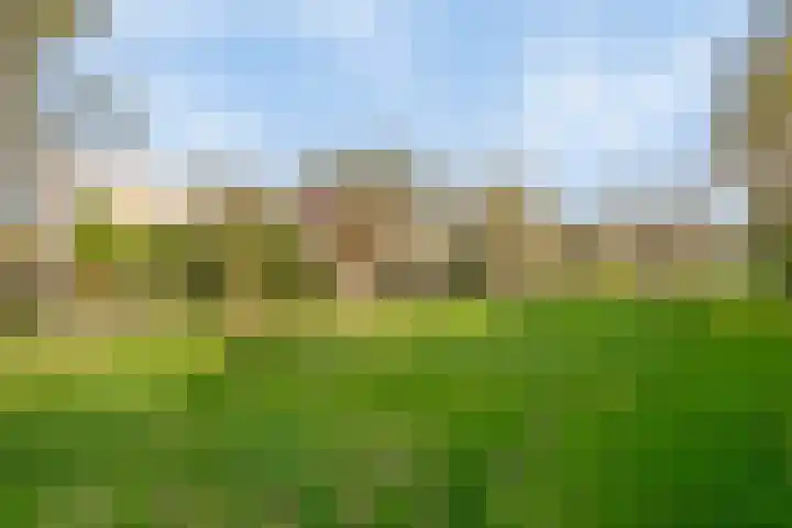 Dissel 126 IJsselstein thumbnail 40