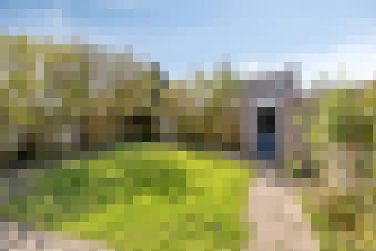 Dissel 134 Maarheeze thumbnail 6