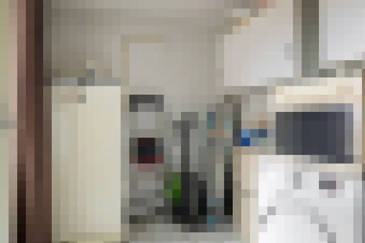 Dissel 15 Barger-Compascuum thumbnail 10