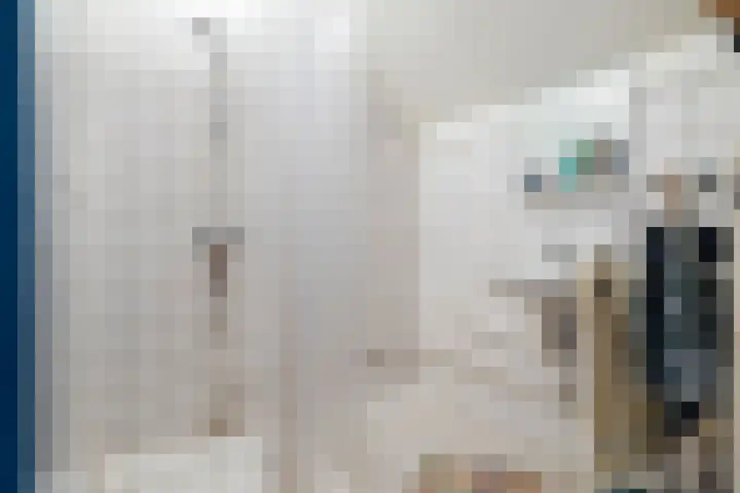 Dissel 15 Barger-Compascuum thumbnail 16