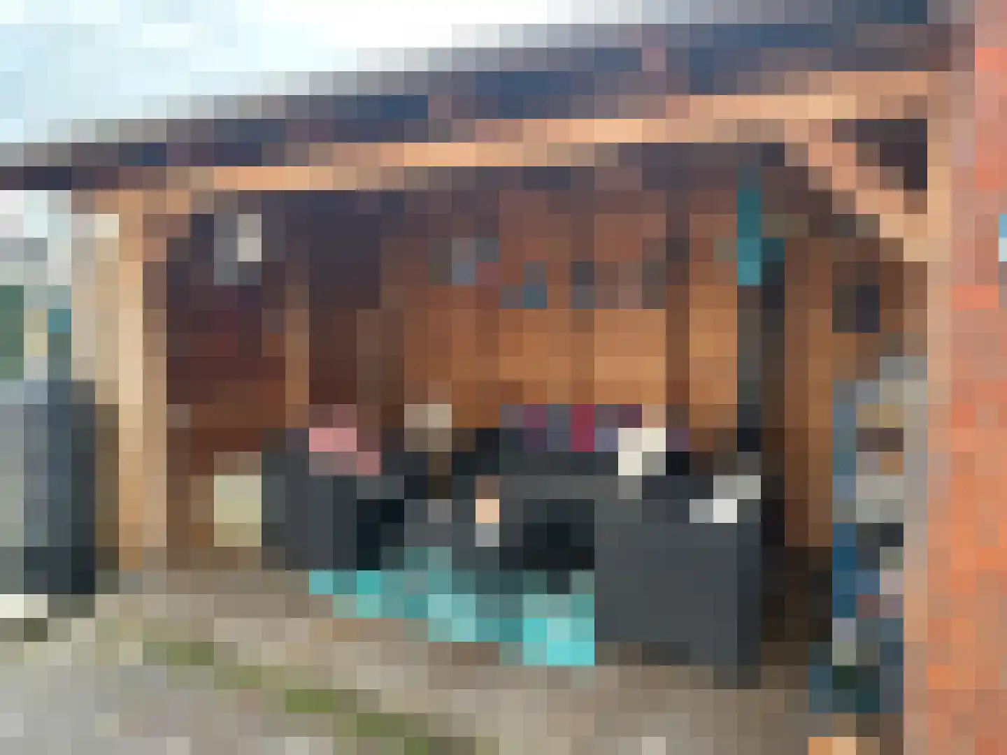 Dissel 15 Barger-Compascuum thumbnail 19