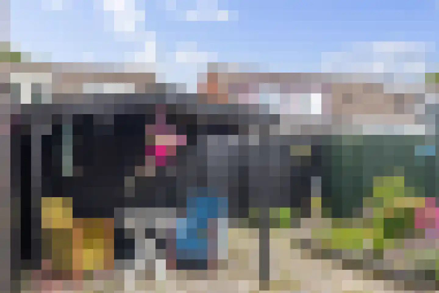 Dissel 15 Barger-Compascuum thumbnail 21