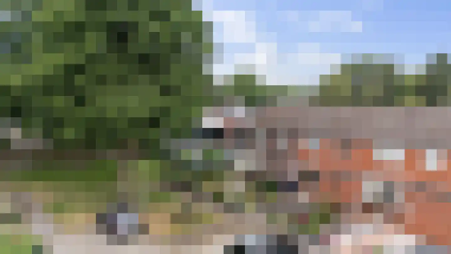 Dissel 15 Barger-Compascuum thumbnail 31