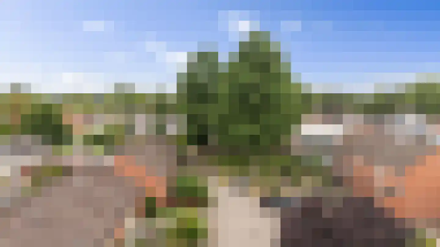 Dissel 15 Barger-Compascuum thumbnail 32