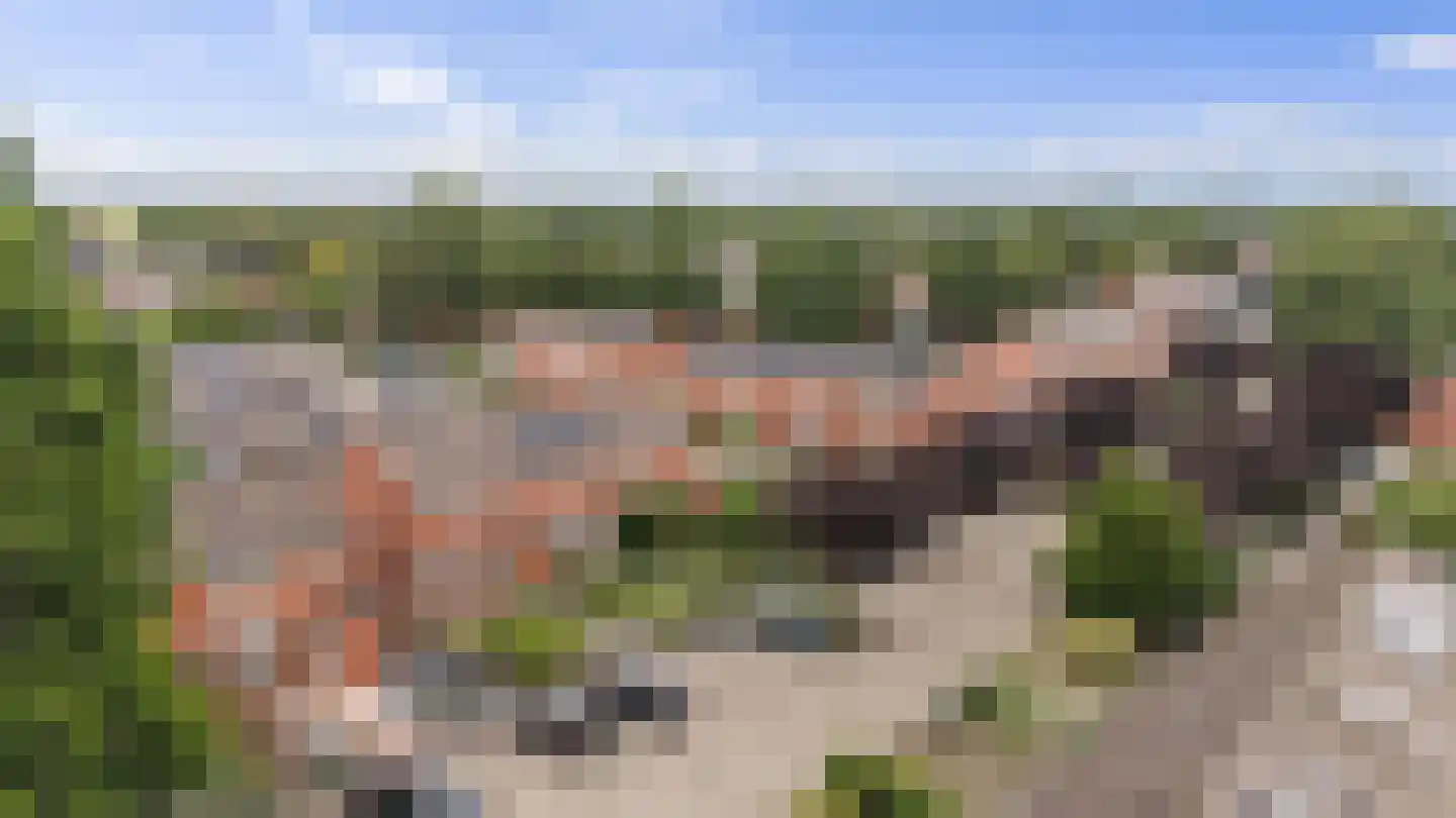 Dissel 15 Barger-Compascuum thumbnail 34