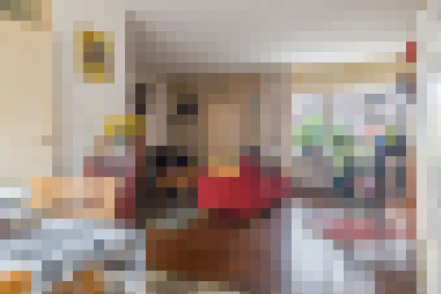 Dissel 15 Barger-Compascuum thumbnail 5