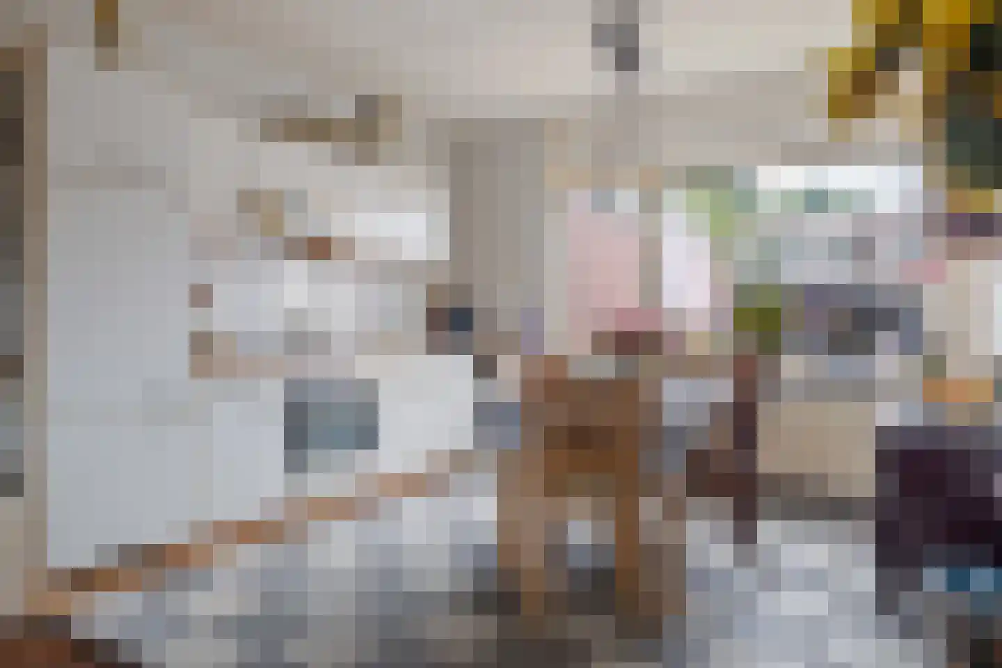 Dissel 15 Barger-Compascuum thumbnail 7