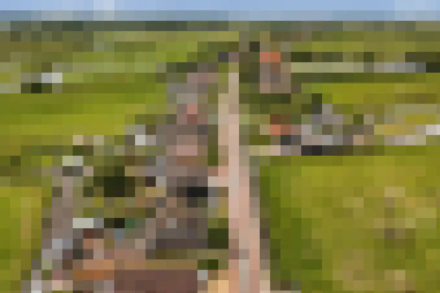 Dissel 18 in Hasselt