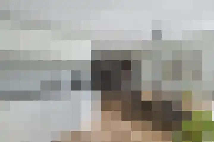 Dissel 18 Hasselt thumbnail 10