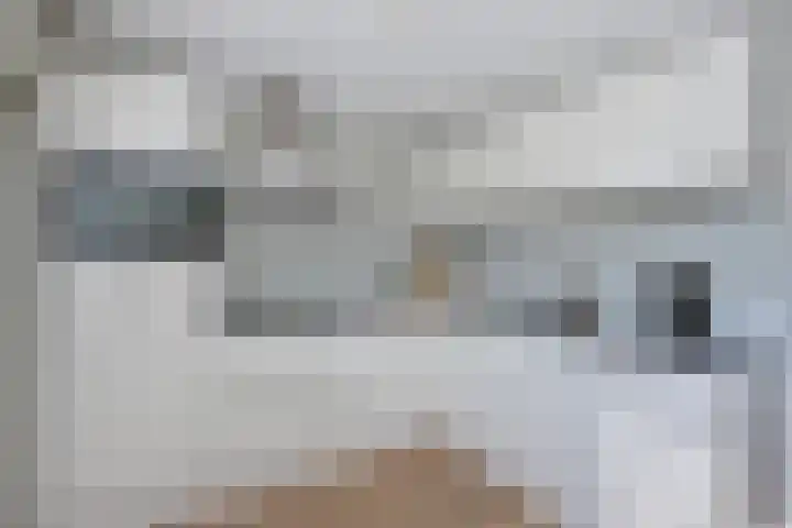Dissel 18 Hasselt thumbnail 11