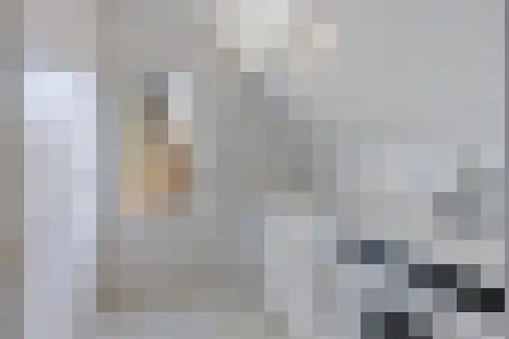 Dissel 18 Hasselt thumbnail 13