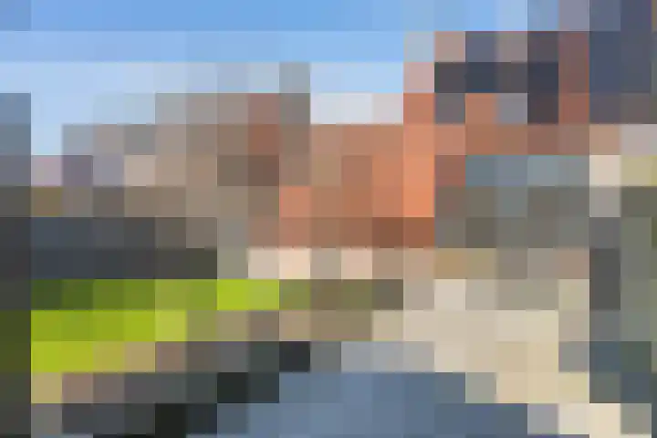 Dissel 18 Hasselt thumbnail 14