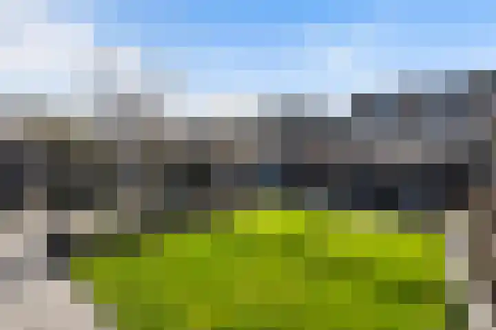 Dissel 18 Hasselt thumbnail 15