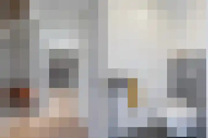 Dissel 18 Hasselt thumbnail 16