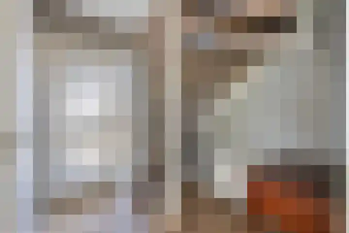 Dissel 18 Hasselt thumbnail 17