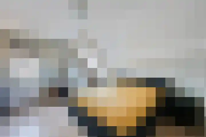 Dissel 18 Hasselt thumbnail 18