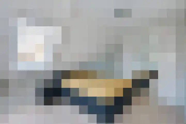 Dissel 18 Hasselt thumbnail 19