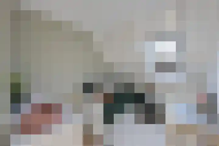 Dissel 18 Hasselt thumbnail 20