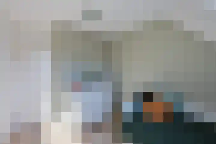 Dissel 18 Hasselt thumbnail 21