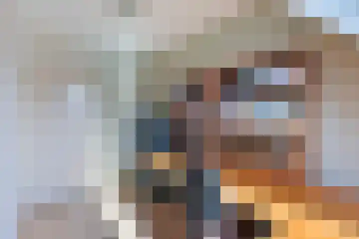 Dissel 18 Hasselt thumbnail 23