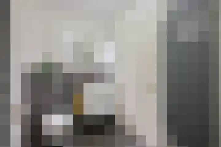 Dissel 18 Hasselt thumbnail 24