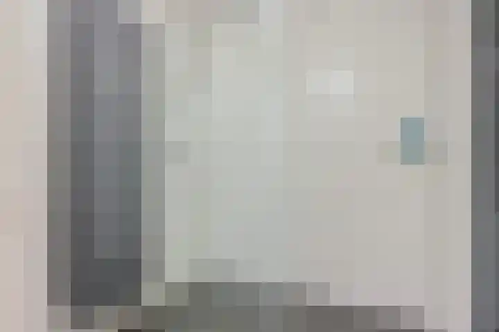 Dissel 18 Hasselt thumbnail 25