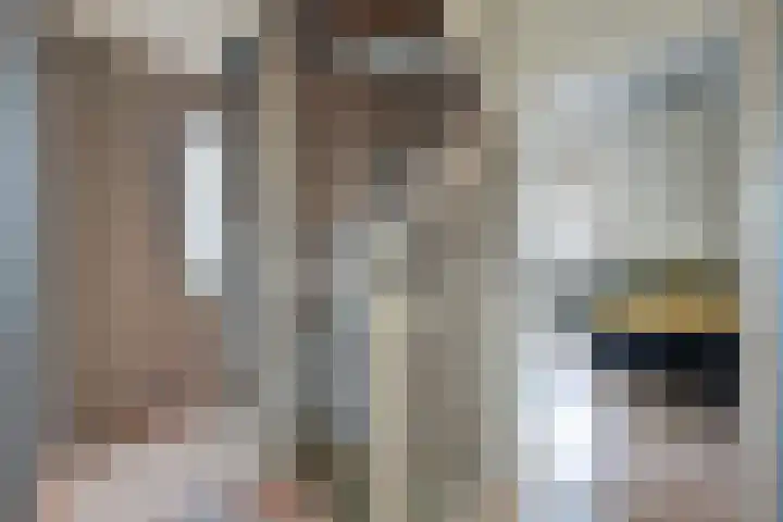 Dissel 18 Hasselt thumbnail 26