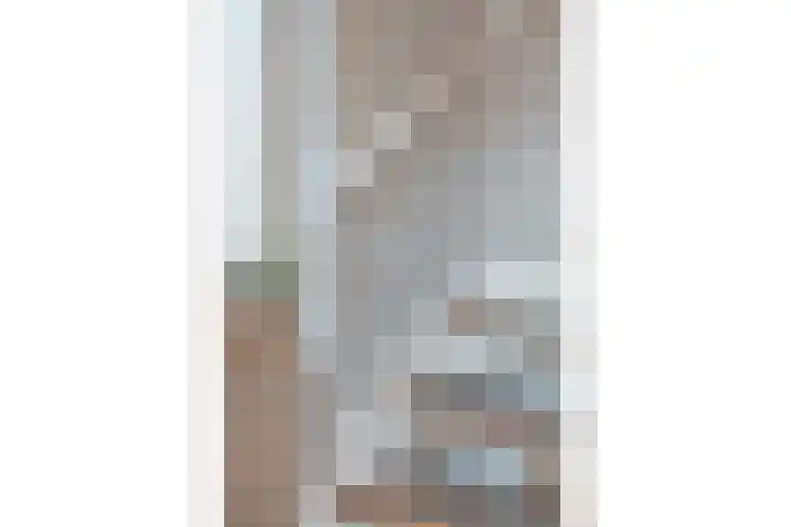 Dissel 18 Hasselt thumbnail 27