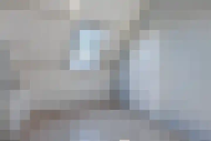 Dissel 18 Hasselt thumbnail 29