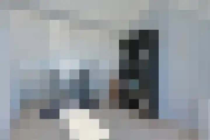Dissel 18 Hasselt thumbnail 30