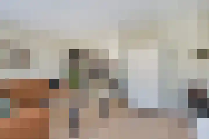 Dissel 18 Hasselt thumbnail 5