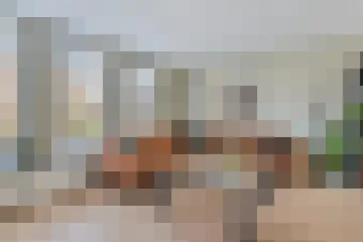 Dissel 18 Hasselt thumbnail 6