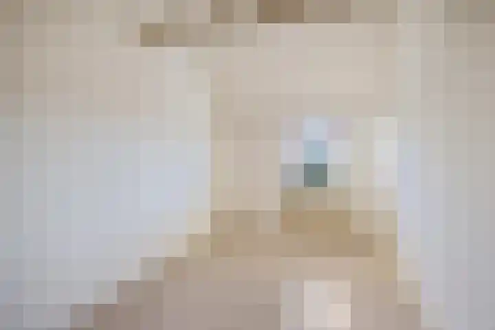 Dissel 22 Barger-Compascuum thumbnail 10