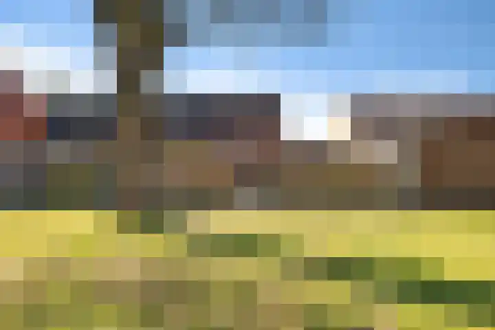 Dissel 22 Barger-Compascuum thumbnail 17