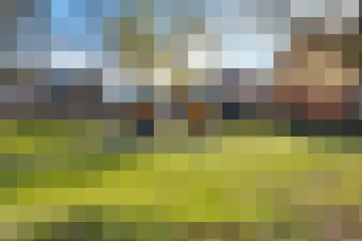 Dissel 22 Barger-Compascuum thumbnail 18