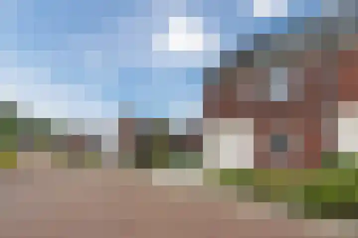 Dissel 25 Best thumbnail 10