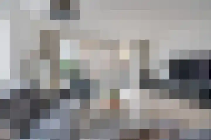 Dissel 25 Best thumbnail 11