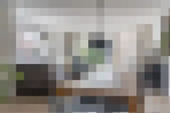 Dissel 25 Best thumbnail 15