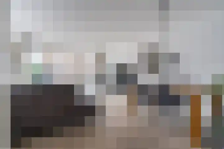 Dissel 25 Best thumbnail 17