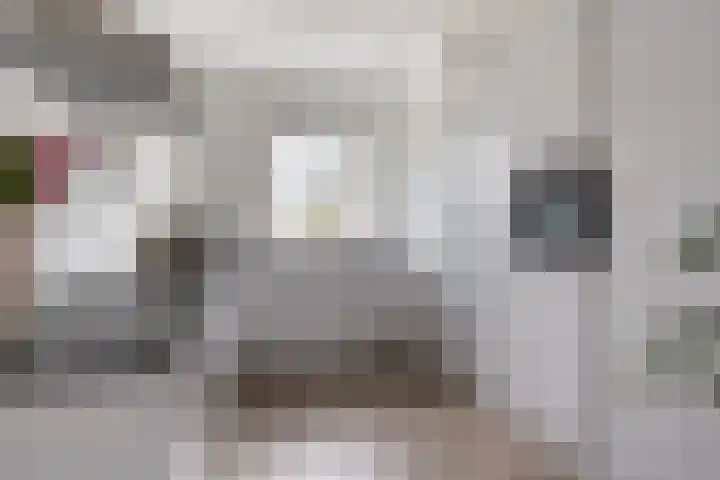 Dissel 25 Best thumbnail 19