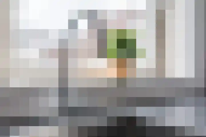 Dissel 25 Best thumbnail 22
