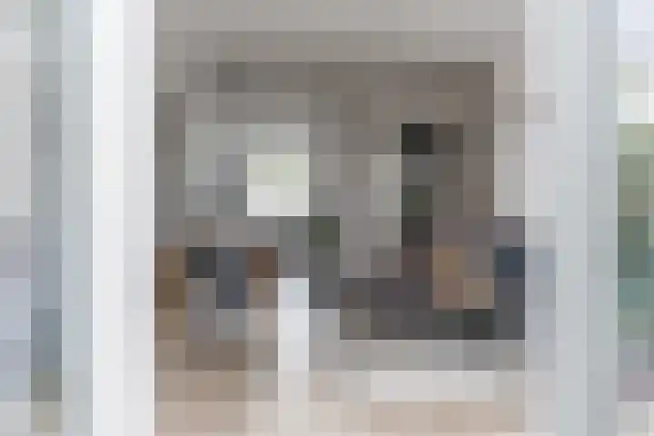 Dissel 25 Best thumbnail 23