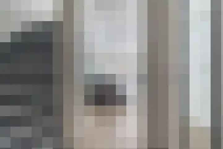 Dissel 25 Best thumbnail 24