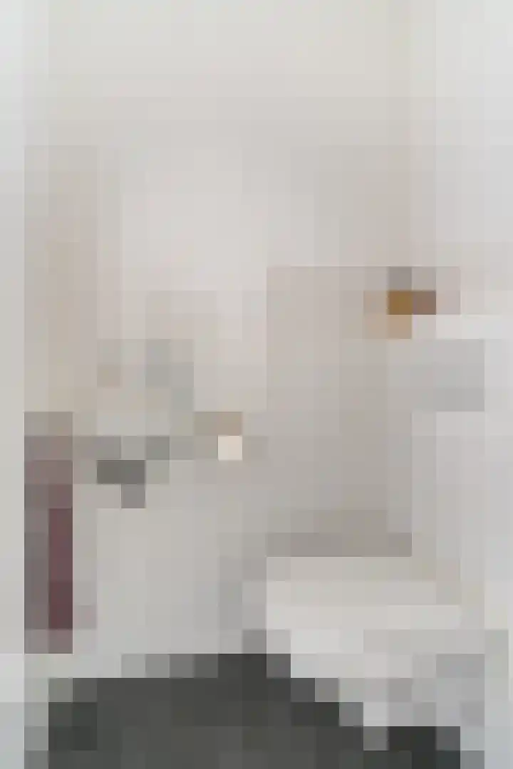 Dissel 25 Best thumbnail 26