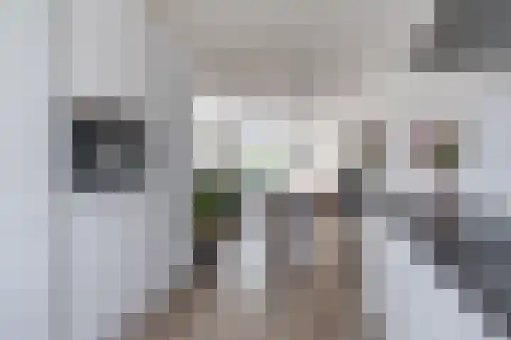 Dissel 25 Best foto 3